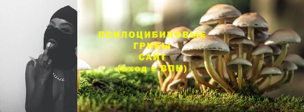 скорость Сосновый Бор