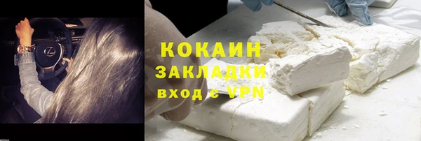 соль ск Сосновка